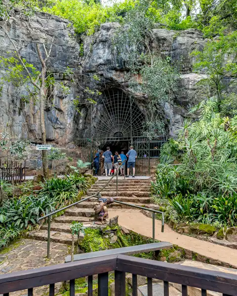Sudwala Experience